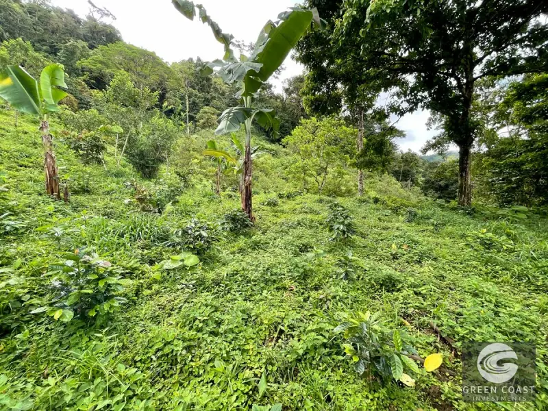 83-Acre Ocean View Mountain Estate with Waterfalls and Natural Springs in Uvita — view 35, Bahía Ballena, Osa, Costa Rica