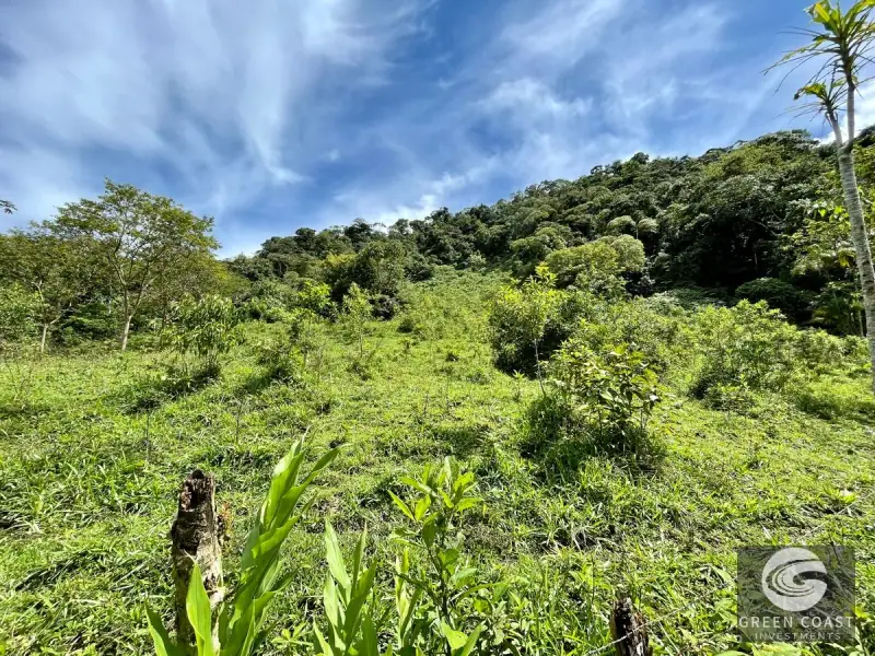 83-Acre Ocean View Mountain Estate with Waterfalls and Natural Springs in Uvita — view 37, Bahía Ballena, Osa, Costa Rica
