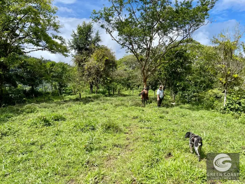 83-Acre Ocean View Mountain Estate with Waterfalls and Natural Springs in Uvita — view 39, Bahía Ballena, Osa, Costa Rica