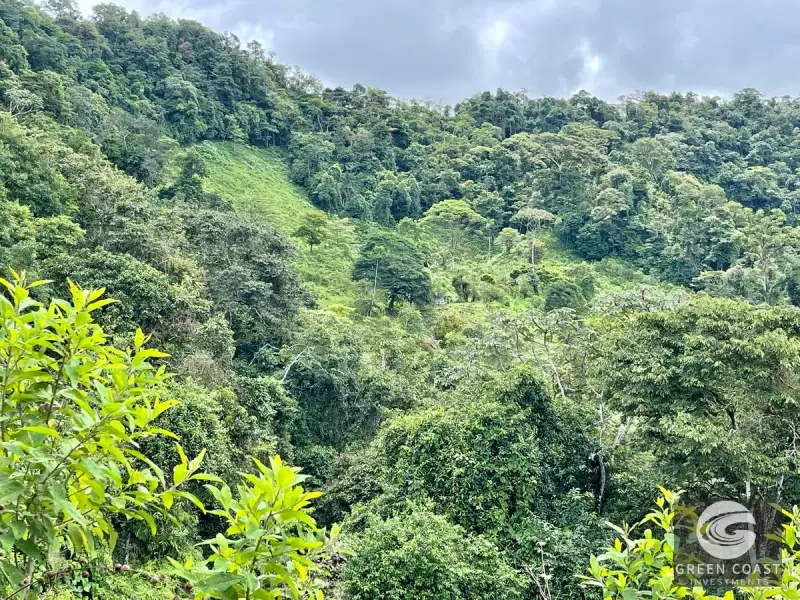 83-Acre Ocean View Mountain Estate with Waterfalls and Natural Springs in Uvita — view 40, Bahía Ballena, Osa, Costa Rica
