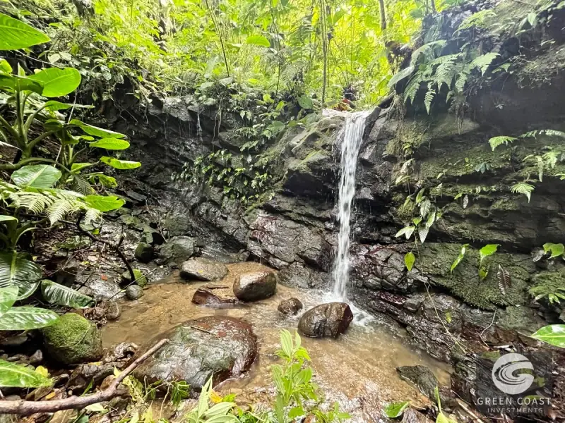 83-Acre Ocean View Mountain Estate with Waterfalls and Natural Springs in Uvita — view 41, Bahía Ballena, Osa, Costa Rica