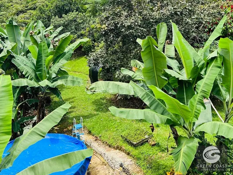 Luxury 3-Bed Perez Zeledon Estate with Private Pool, Lush Orchids & Expansive 4,500 m² Tropical Gardens — view 20, Perez Zeledon, Costa Rica