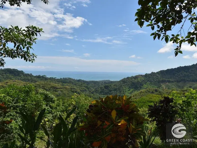 Luxury 3-Bed Perez Zeledon Estate with Private Pool, Lush Orchids & Expansive 4,500 m² Tropical Gardens — view 33, Perez Zeledon, Costa Rica