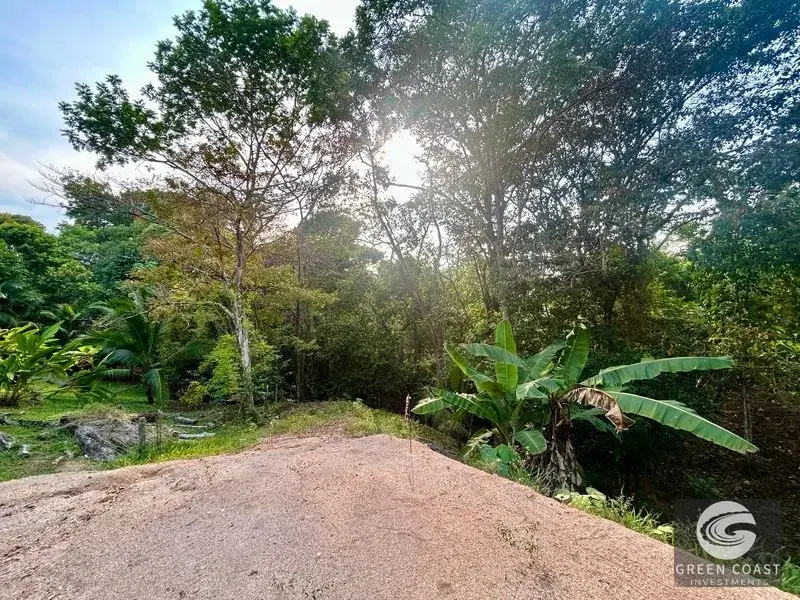 Pre-Construction 3BR Oasis with Pool and Creek Views in Playa Hermosa — view 14, Bahía Ballena, Osa, Costa Rica