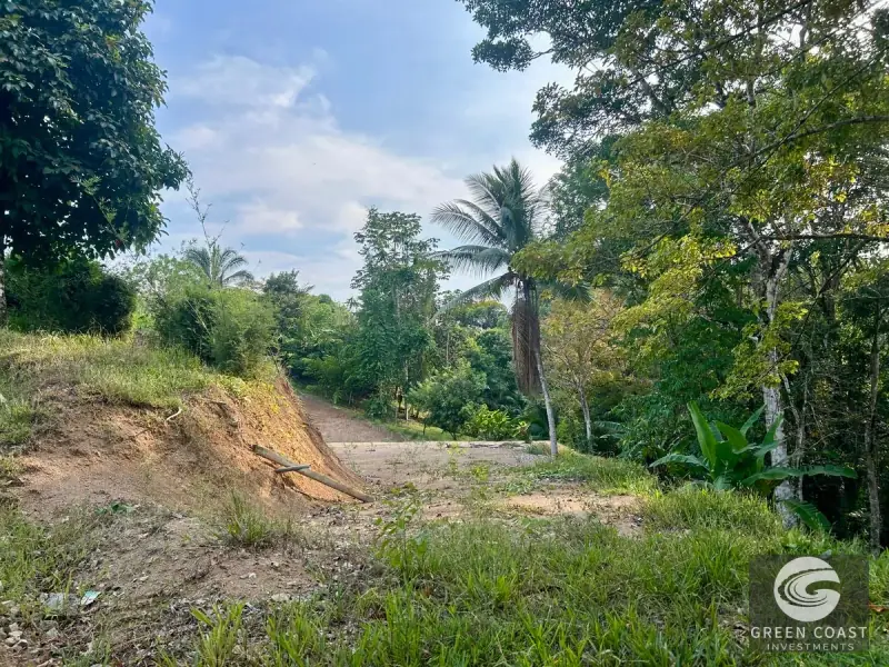 Pre-Construction 3BR Oasis with Pool and Creek Views in Playa Hermosa — view 34, Bahía Ballena, Osa, Costa Rica