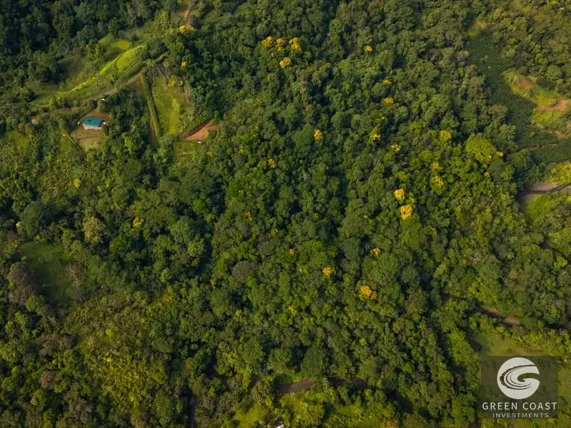 Off-Grid Golfo Dulce Ocean View Retreat: 17 Acres of Pure Costa Rican Paradise in Puerto Jiménez — view 8, Puerto Jimenez, Costa Rica