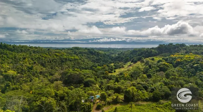 Off-Grid Golfo Dulce Ocean View Retreat: 17 Acres of Pure Costa Rican Paradise in Puerto Jiménez — view 22, Puerto Jimenez, Costa Rica