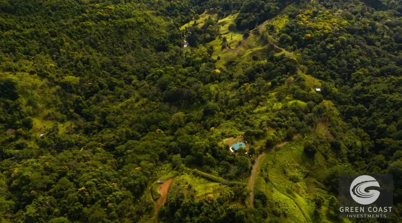 Off-Grid Golfo Dulce Ocean View Retreat: 17 Acres of Pure Costa Rican Paradise in Puerto Jiménez — view 23, Puerto Jimenez, Costa Rica