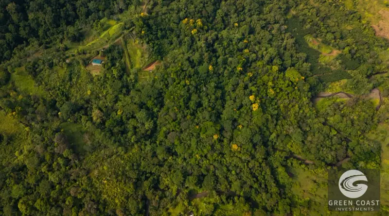 Off-Grid Golfo Dulce Ocean View Retreat: 17 Acres of Pure Costa Rican Paradise in Puerto Jiménez — view 27, Puerto Jimenez, Costa Rica