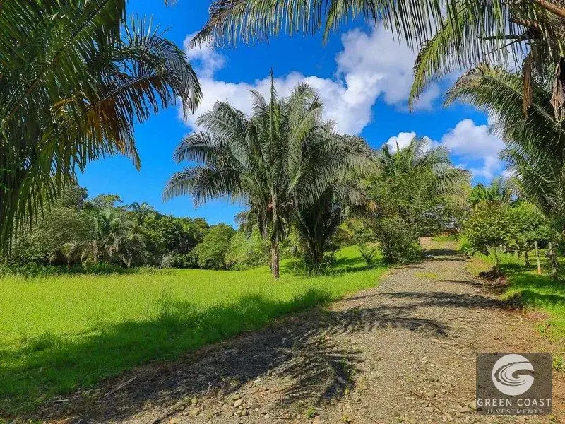 21-Acre Serene Estate & Development Land Near Marina Pez Vela — view 11, Quepos, Costa Rica