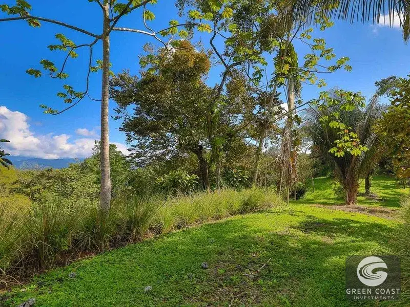 21-Acre Serene Estate & Development Land Near Marina Pez Vela — view 14, Quepos, Costa Rica