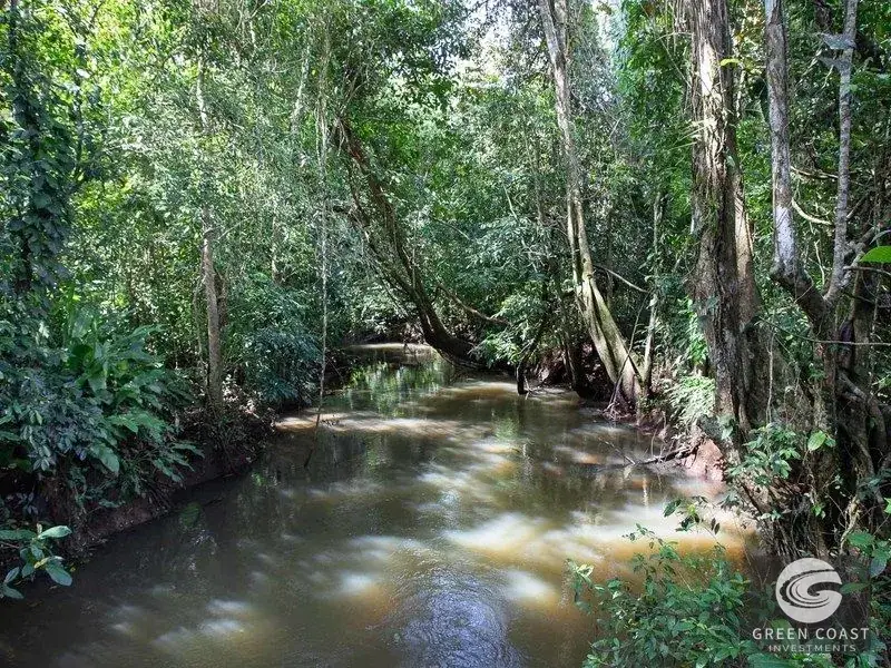21-Acre Serene Estate & Development Land Near Marina Pez Vela — view 18, Quepos, Costa Rica