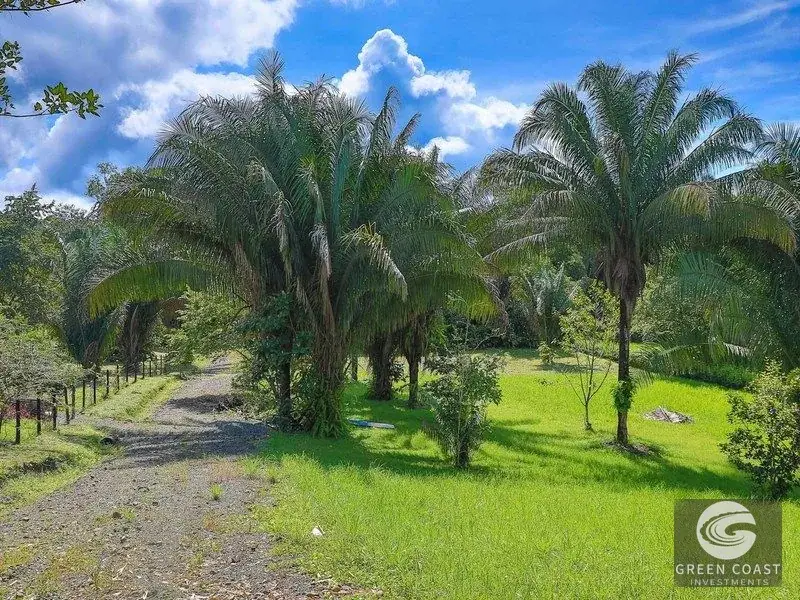 21-Acre Serene Estate & Development Land Near Marina Pez Vela — view 20, Quepos, Costa Rica