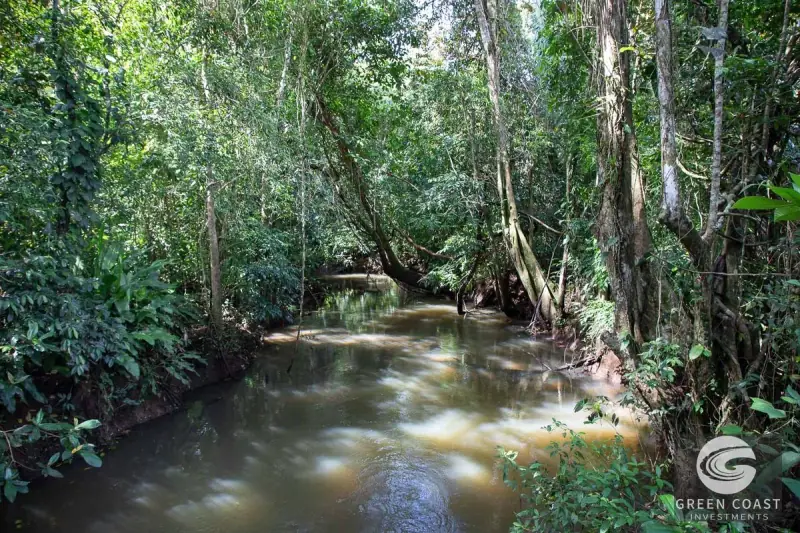 21-Acre Serene Estate & Development Land Near Marina Pez Vela — view 43, Quepos, Costa Rica