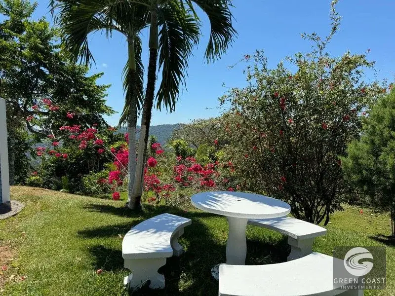 4-Bed Platanillo Mountain & Ocean View Estate with Curved Pool & Fruit Orchards on 5 Acres — view 6, Platanillo, Perez Zeledon, Costa Rica