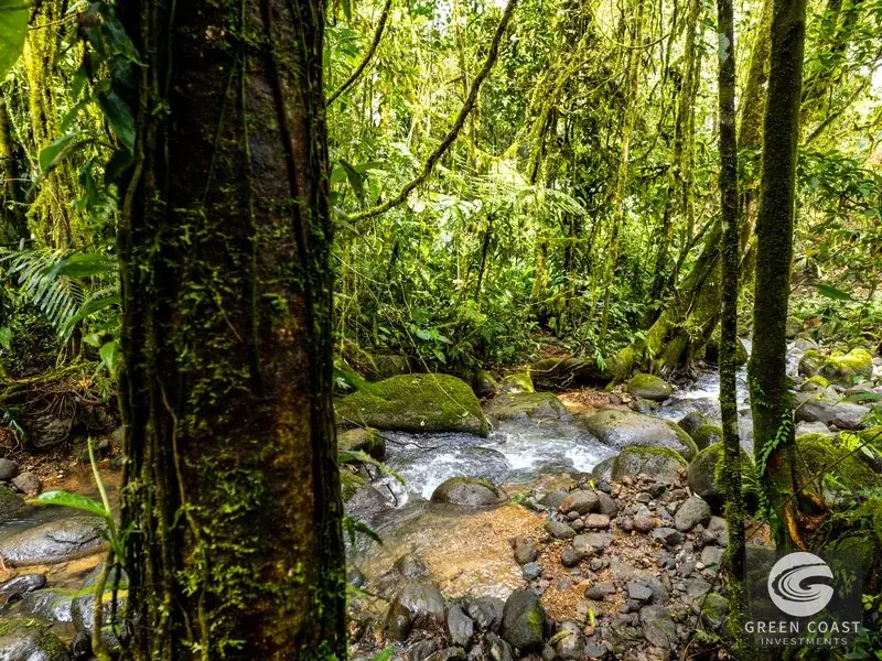 Organic Regenerative Farm with Ocean Views in Costa Rica Biosphere — view 7, Dominical, Costa Rica