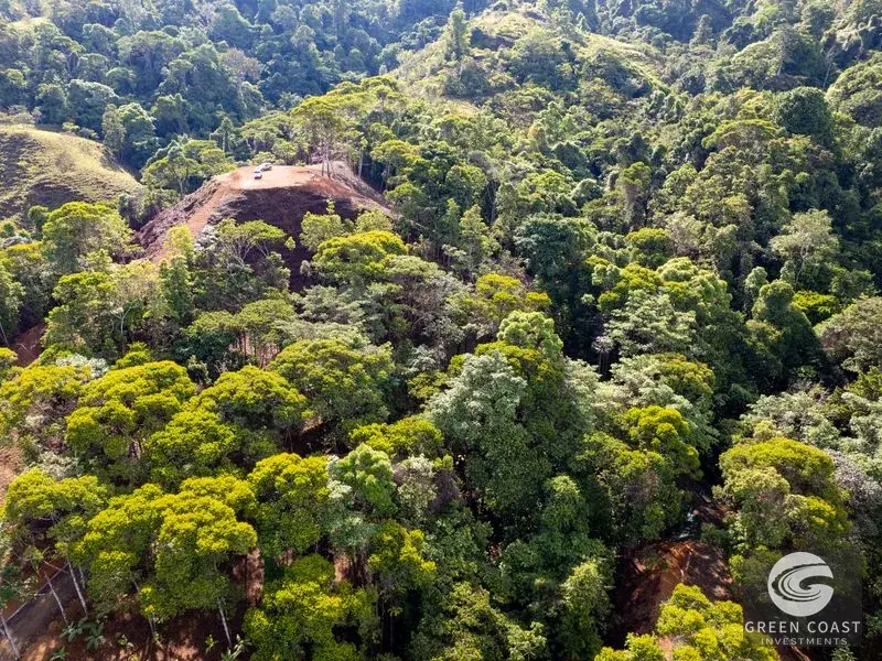 Organic Regenerative Farm with Ocean Views in Costa Rica Biosphere — view 9, Dominical, Costa Rica