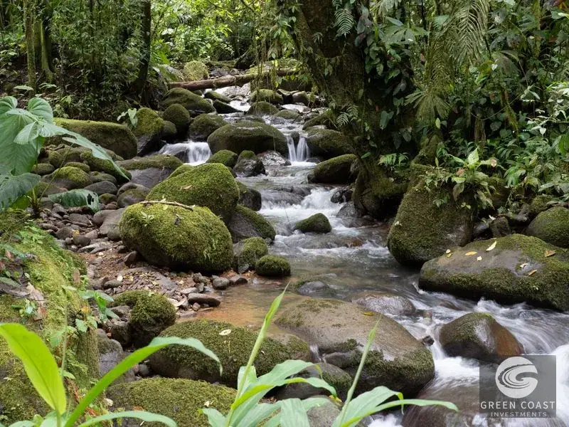 Organic Regenerative Farm with Ocean Views in Costa Rica Biosphere — view 10, Dominical, Costa Rica