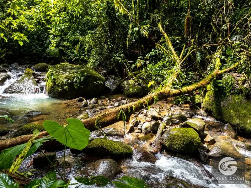 Organic Regenerative Farm with Ocean Views in Costa Rica Biosphere — view 11, Dominical, Costa Rica