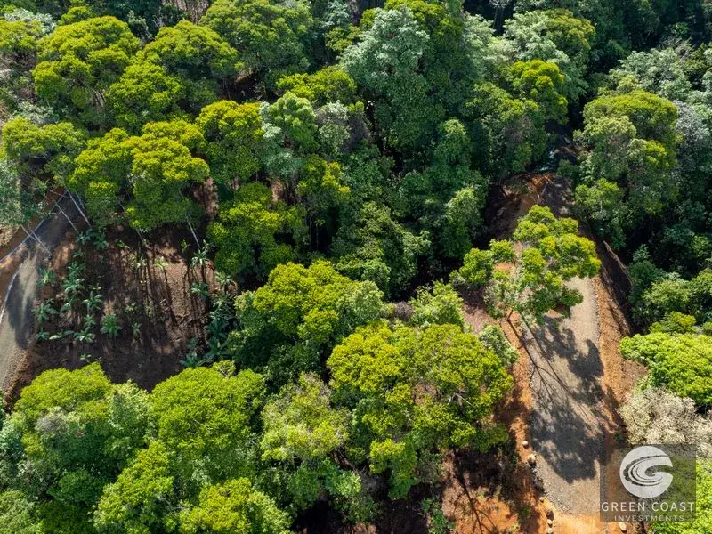 Organic Regenerative Farm with Ocean Views in Costa Rica Biosphere — view 12, Dominical, Costa Rica