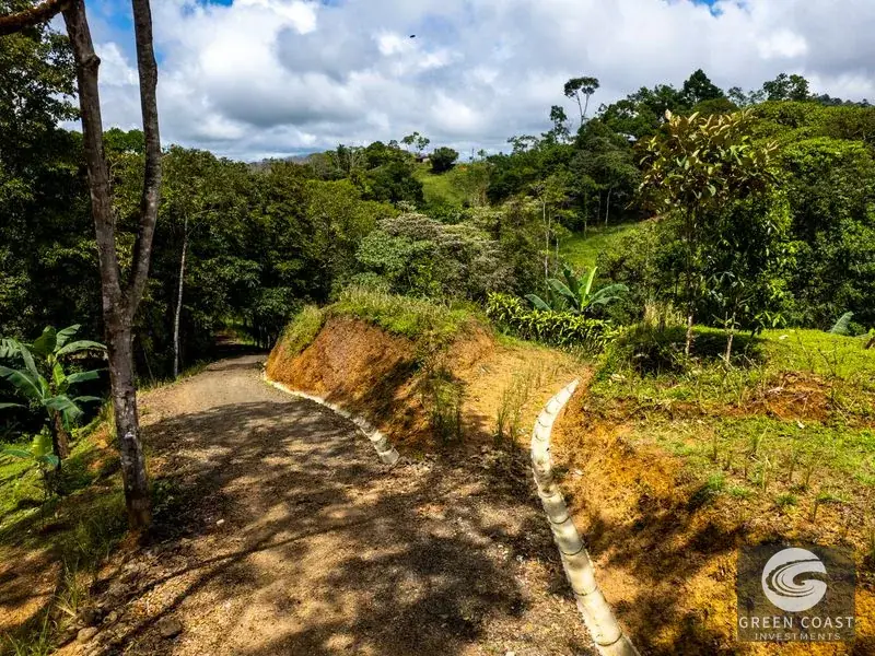 Organic Regenerative Farm with Ocean Views in Costa Rica Biosphere — view 23, Dominical, Costa Rica