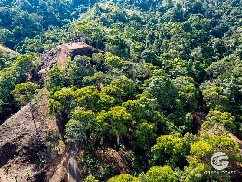Organic Regenerative Farm with Ocean Views in Costa Rica Biosphere — view 30, Dominical, Costa Rica