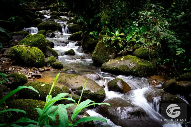 Organic Regenerative Farm with Ocean Views in Costa Rica Biosphere — view 37, Dominical, Costa Rica