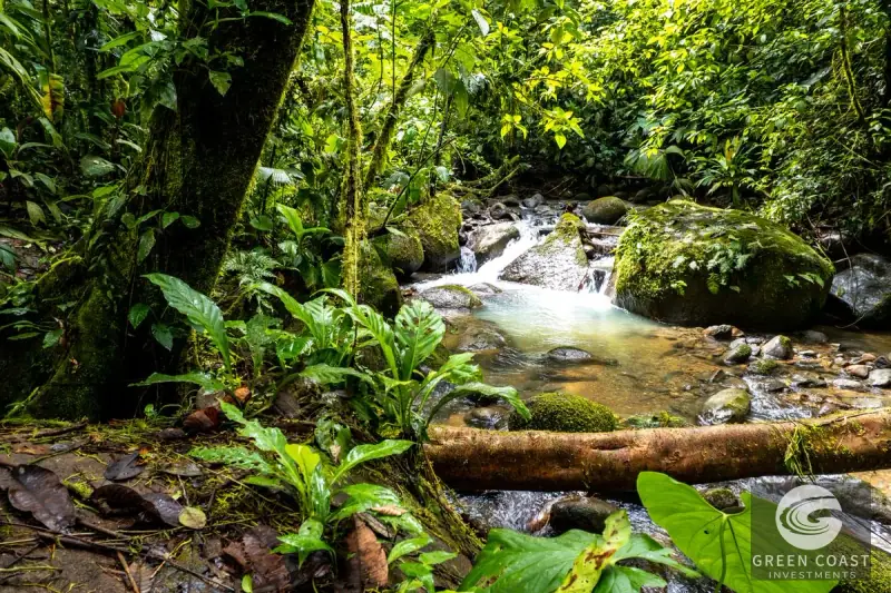 Organic Regenerative Farm with Ocean Views in Costa Rica Biosphere — view 39, Dominical, Costa Rica