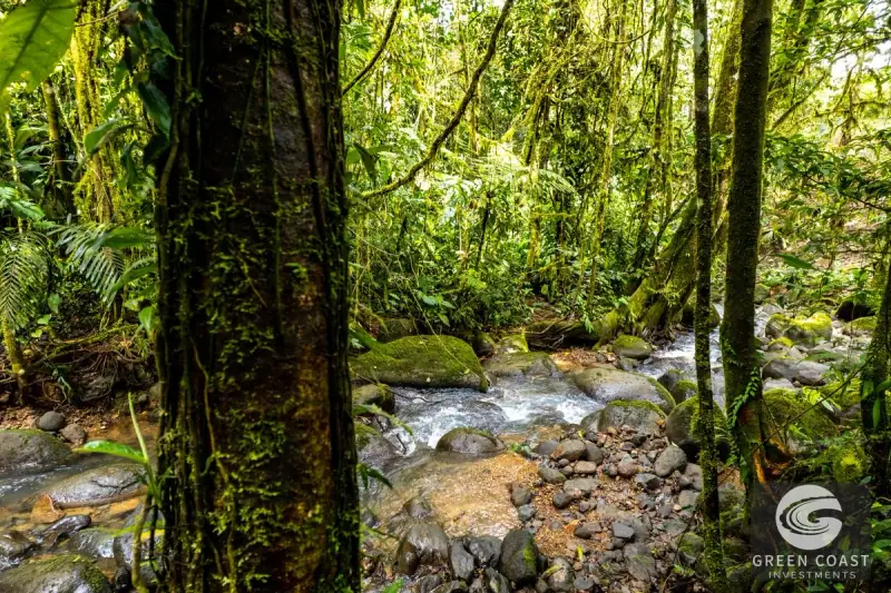 Organic Regenerative Farm with Ocean Views in Costa Rica Biosphere — view 41, Dominical, Costa Rica