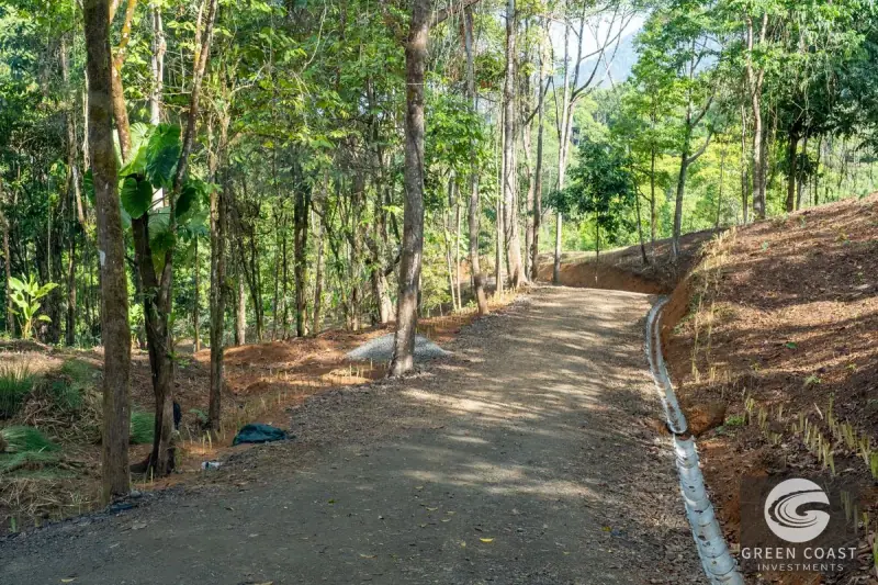 Organic Regenerative Farm with Ocean Views in Costa Rica Biosphere — view 42, Dominical, Costa Rica