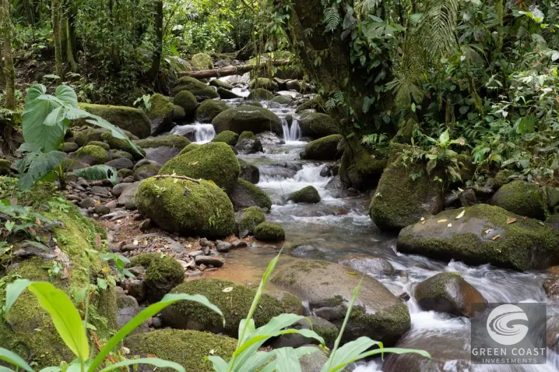 Organic Regenerative Farm with Ocean Views in Costa Rica Biosphere — view 44, Dominical, Costa Rica