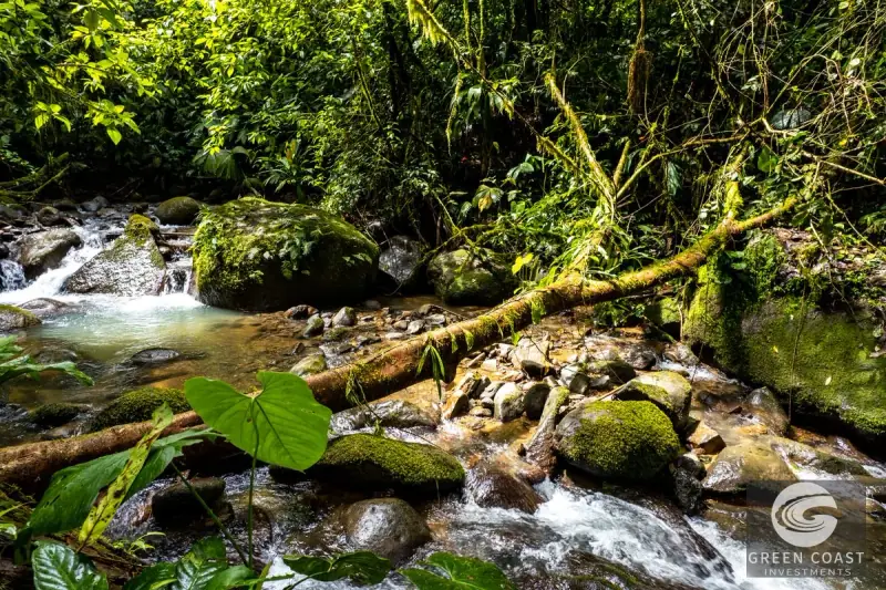 Organic Regenerative Farm with Ocean Views in Costa Rica Biosphere — view 45, Dominical, Costa Rica