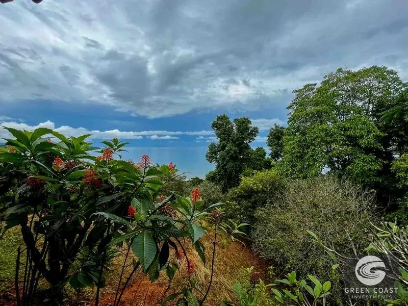 Ocean-View Luxury Estate Lot in Drake Bay: Prime Acreage with Panoramic Mountain Vistas — view 2, Drake Bay, Costa Rica