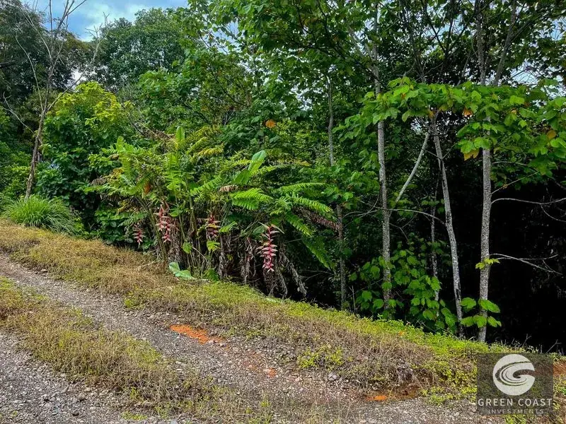 Ocean-View Luxury Estate Lot in Drake Bay: Prime Acreage with Panoramic Mountain Vistas — view 5, Drake Bay, Costa Rica