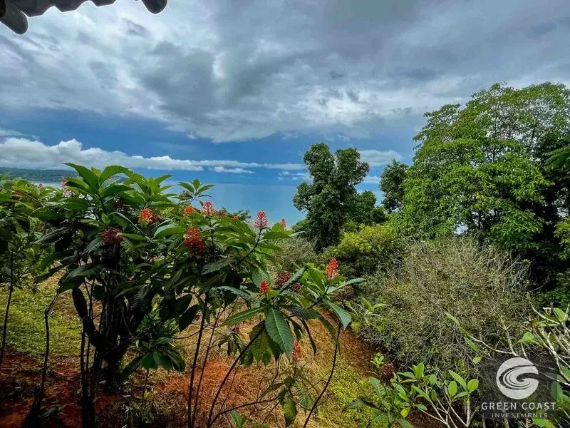 Ocean-View Luxury Estate Lot in Drake Bay: Prime Acreage with Panoramic Mountain Vistas — view 8, Drake Bay, Costa Rica