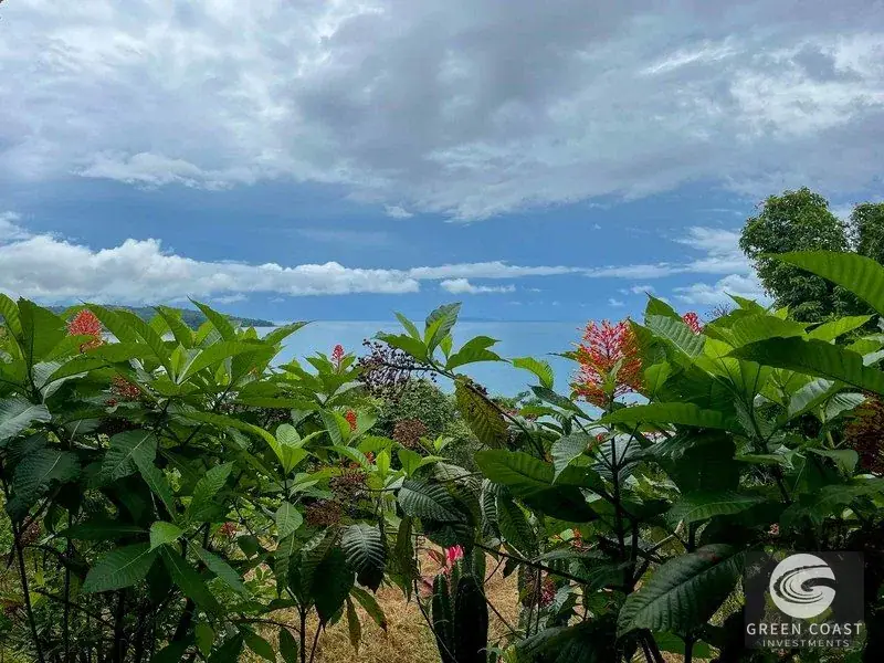 Ocean-View Luxury Estate Lot in Drake Bay: Prime Acreage with Panoramic Mountain Vistas — view 9, Drake Bay, Costa Rica