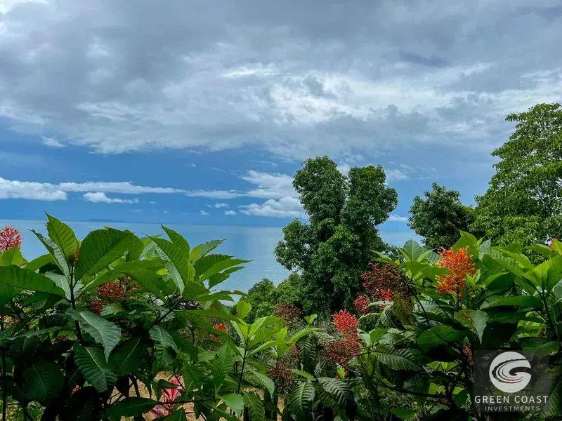 Ocean-View Luxury Estate Lot in Drake Bay: Prime Acreage with Panoramic Mountain Vistas — view 10, Drake Bay, Costa Rica