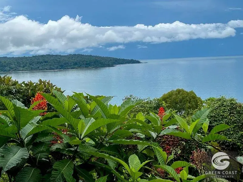Ocean-View Luxury Estate Lot in Drake Bay: Prime Acreage with Panoramic Mountain Vistas — view 17, Drake Bay, Costa Rica