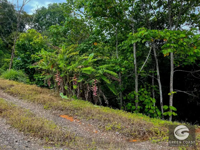 Ocean-View Luxury Estate Lot in Drake Bay: Prime Acreage with Panoramic Mountain Vistas — view 26, Drake Bay, Costa Rica