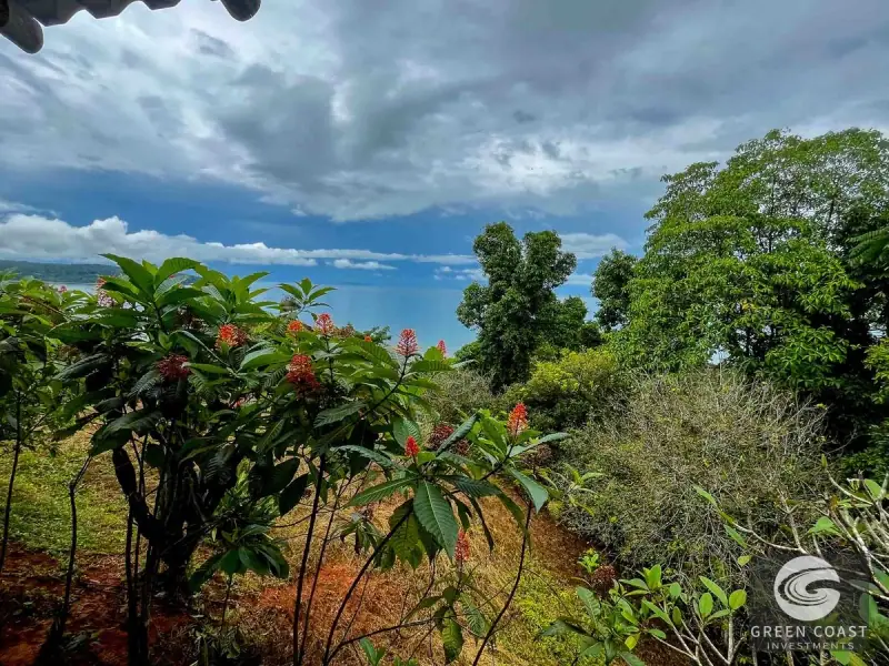 Ocean-View Luxury Estate Lot in Drake Bay: Prime Acreage with Panoramic Mountain Vistas — view 29, Drake Bay, Costa Rica