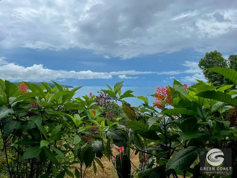 Ocean-View Luxury Estate Lot in Drake Bay: Prime Acreage with Panoramic Mountain Vistas — view 30, Drake Bay, Costa Rica
