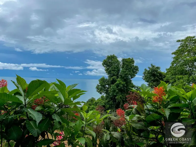 Ocean-View Luxury Estate Lot in Drake Bay: Prime Acreage with Panoramic Mountain Vistas — view 31, Drake Bay, Costa Rica