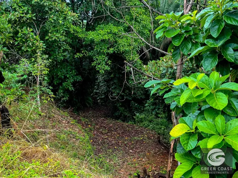 Ocean-View Luxury Estate Lot in Drake Bay: Prime Acreage with Panoramic Mountain Vistas — view 32, Drake Bay, Costa Rica