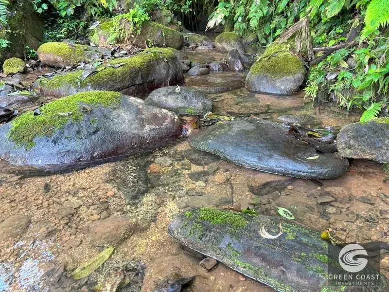 110-Acre Ocean View Mountain Sanctuary in Dominical with Natural Waterfalls and Pure Off-Grid Privacy — view 10, Dominical, Costa Rica