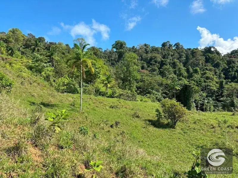 110-Acre Ocean View Mountain Sanctuary in Dominical with Natural Waterfalls and Pure Off-Grid Privacy — view 18, Dominical, Costa Rica