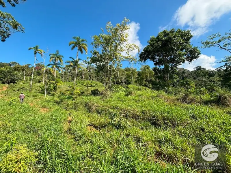 110-Acre Ocean View Mountain Sanctuary in Dominical with Natural Waterfalls and Pure Off-Grid Privacy — view 45, Dominical, Costa Rica