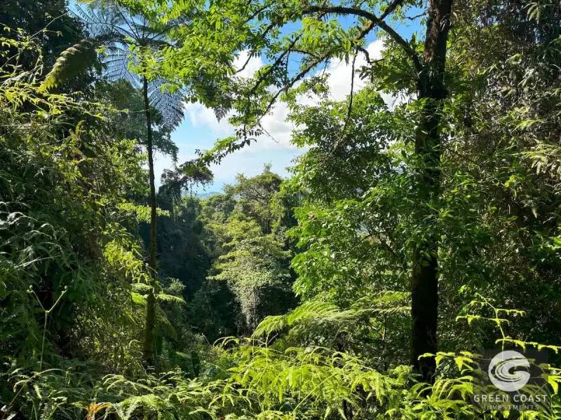 110-Acre Ocean View Mountain Sanctuary in Dominical with Natural Waterfalls and Pure Off-Grid Privacy — view 51, Dominical, Costa Rica