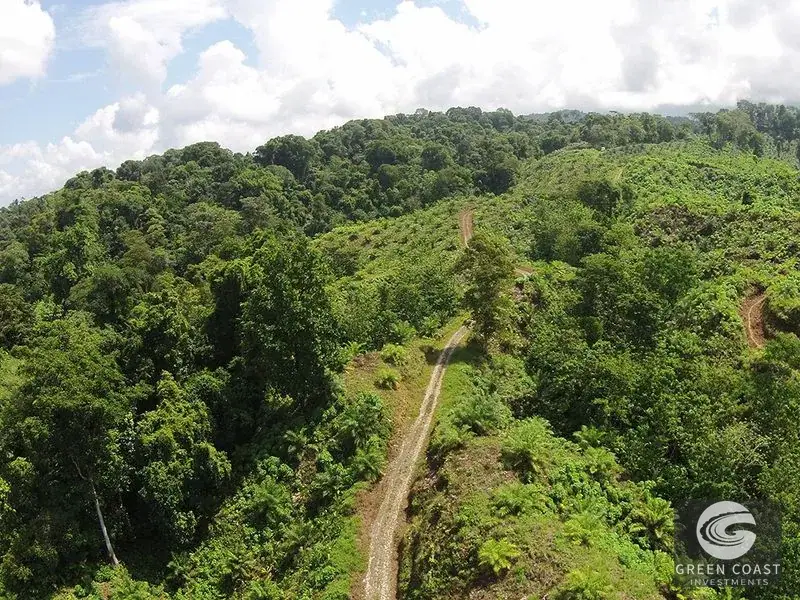 98-Hectare Producing Palm Farm with Ocean Views & Owner's Cabin in Osa Peninsula — view 1, Palmar, Osa, Costa Rica