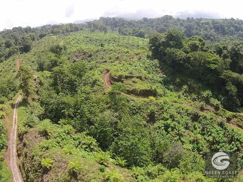 98-Hectare Producing Palm Farm with Ocean Views & Owner's Cabin in Osa Peninsula — view 2, Palmar, Osa, Costa Rica