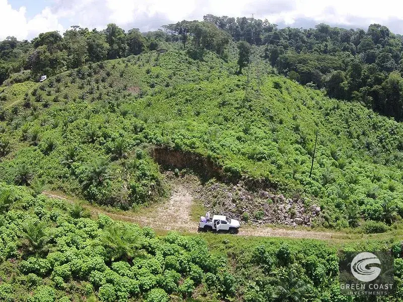 98-Hectare Producing Palm Farm with Ocean Views & Owner's Cabin in Osa Peninsula — view 5, Palmar, Osa, Costa Rica